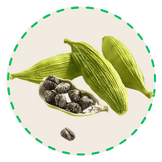 Handpicked quality peanuts