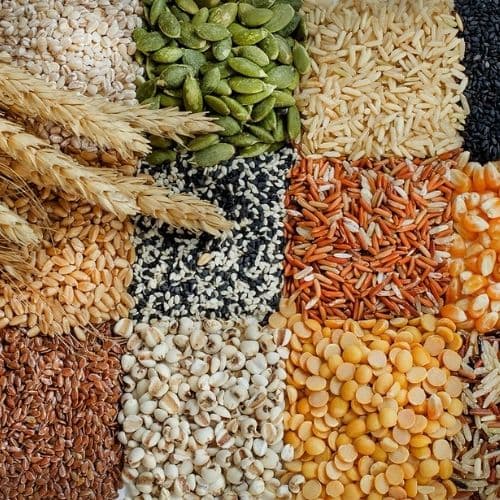 Grains